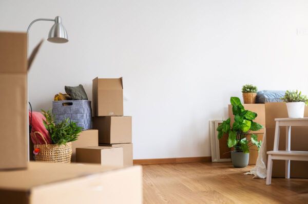 Contents Insurance